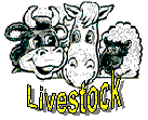 Livestock Logo Option